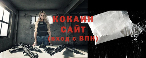шишки Вязьма