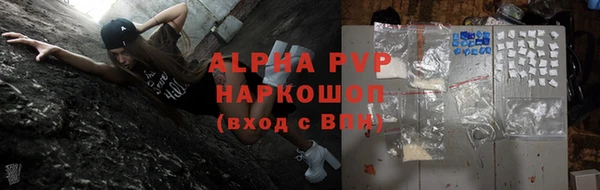 хмурый Вяземский