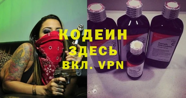 хмурый Вяземский