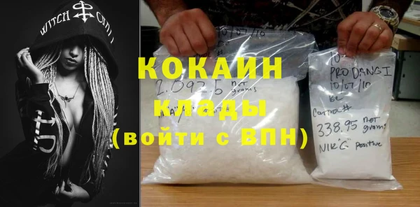 шишки Вязьма