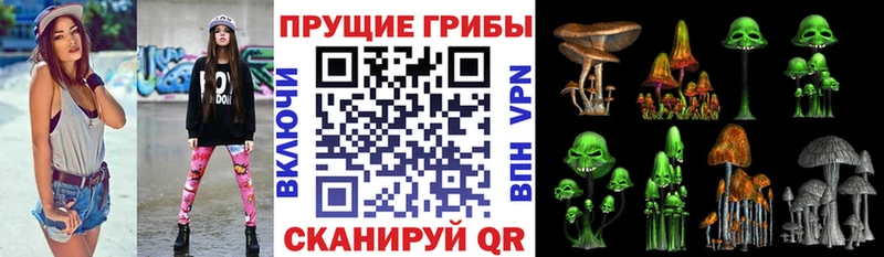 Псилоцибиновые грибы мицелий  Елец 